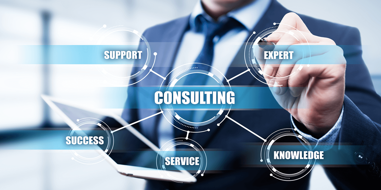 Business Innovation Team, Services, Consulting
